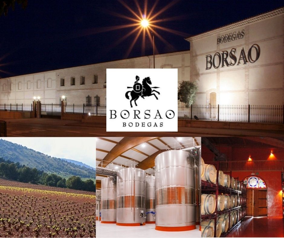 Bodegas Borsao: chai et vignobles