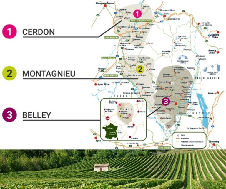Carte viticole Buguey