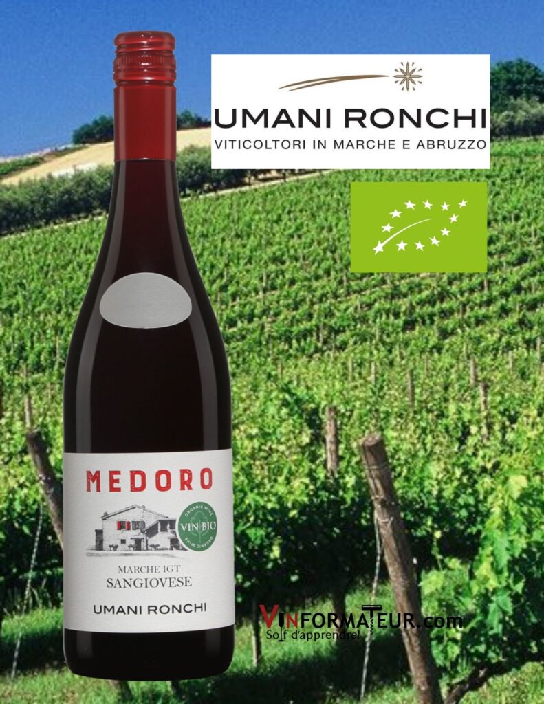 Bouteille de Medoro, Umani Ronchi, Italie, Marche IGT, vin rouge bio, 2020
