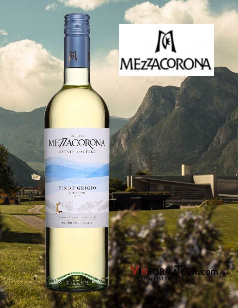 Bouteille de Pinot Grigio, Mezzacorona, Italie, Trentin Haut Adige, Trentino DOC, vin blanc, 2020