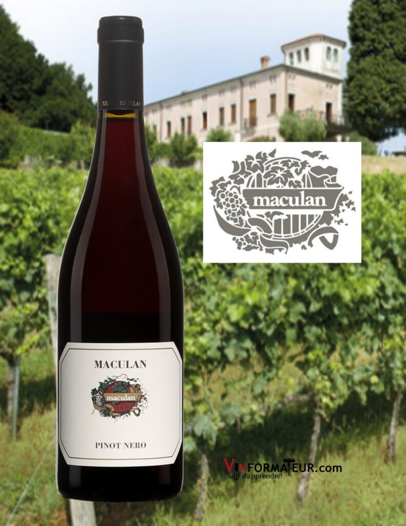 Bouteille de Pinot Nero, Maculan, Italie, Vénétie, Breganze DOC, vin rouge, 2020