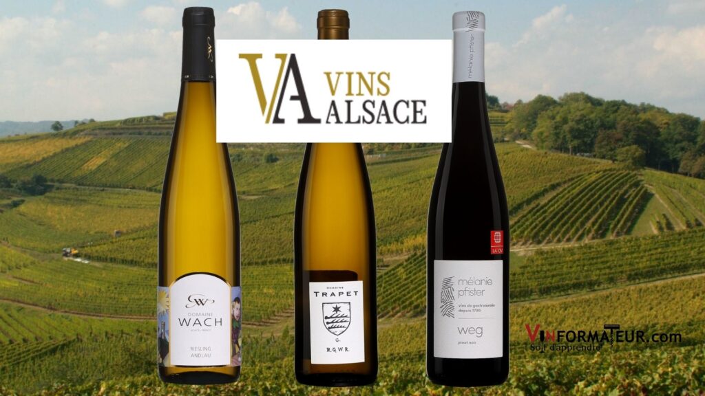 Bouteilles de Vins d'Alsace: Riesling Andlau Domaine Wach 2020, Gewurztraminer Riquewihr Domaine Trapet 2016, Pinot Noir Weg Domaine Pfister 2019.