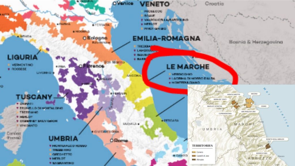 Carte viticole Les Marches et vignobles d'Umani Ronchi