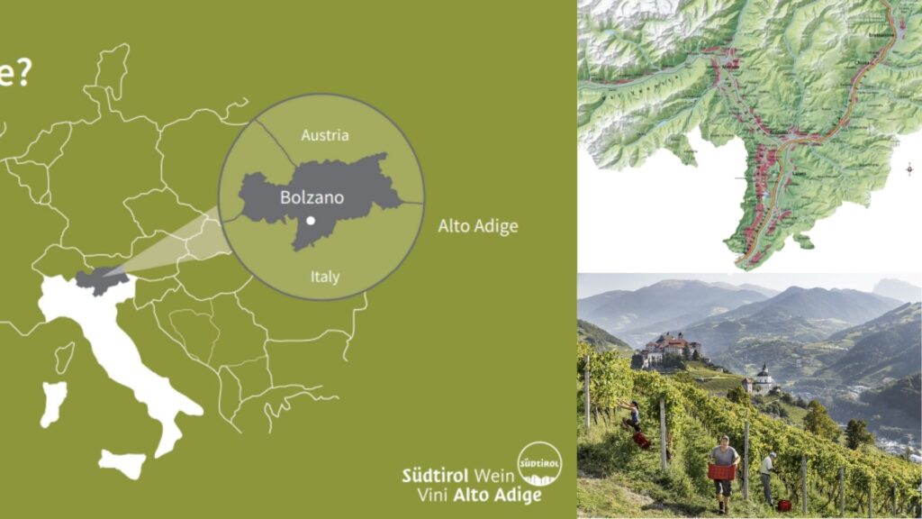 Carte viticole Aldo Adige - Sudtirol et vignobles