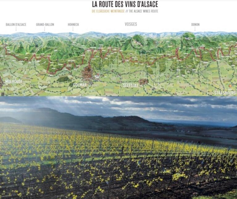 Carte de la route des vins d'Alsace et vignobles