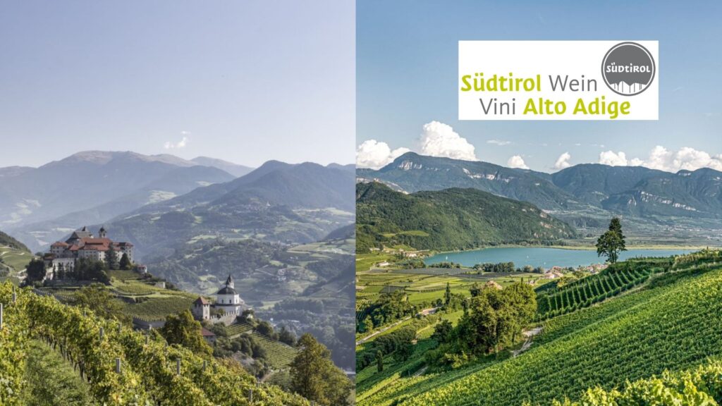 Vignobles Alto Adige - Sudtirol