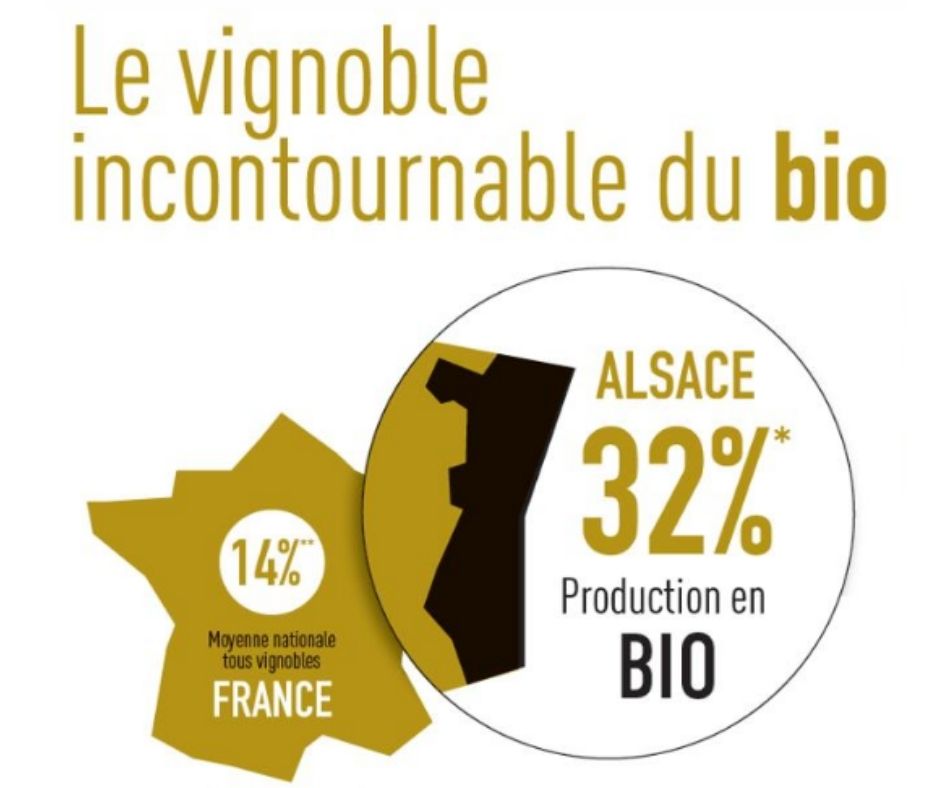 Proportion des vins d'Alsace en bio
