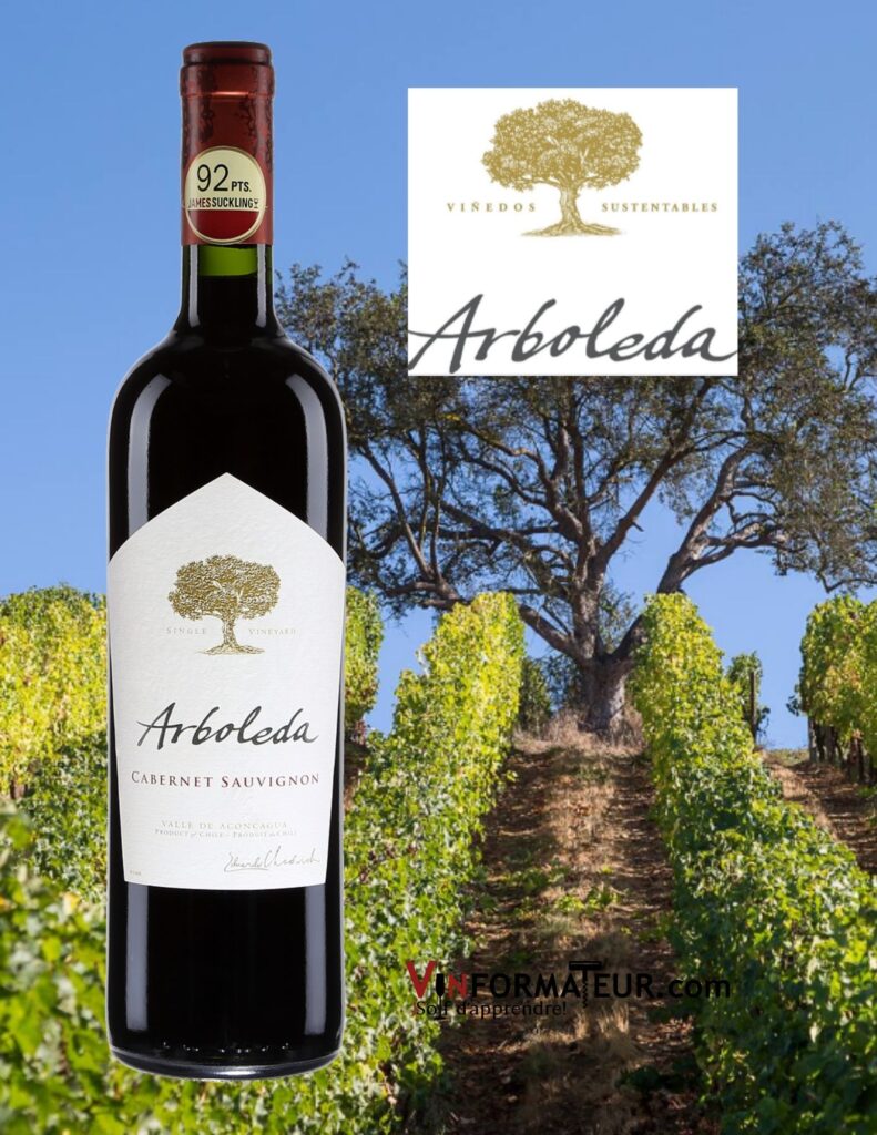Bouteille de Arboleda, Cabernet-Sauvignon, Chili, D.O. Valle del Aconcagua, vin rouge, 2019