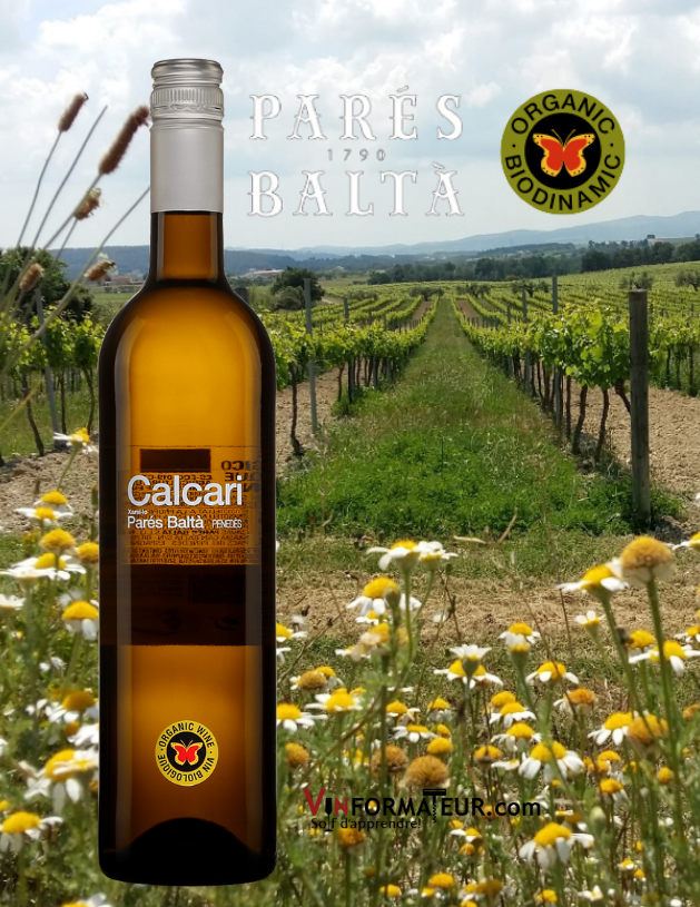 Bouteille de Calcari, Parés Baltà, Espagne, Penedès, vin blanc bio, 2020