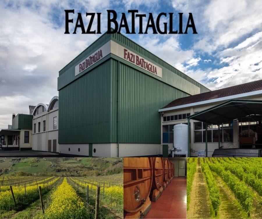 Fazi Battaglia: chai et vignobles