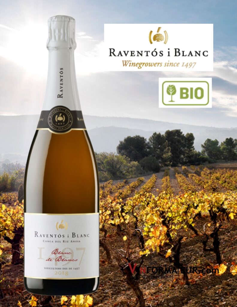 Bouteille de Raventos I Blanc, Blanc de Blancs, Extra Brut, Conca del Riu Anoia, Espagne, vin mousseux Bio, 2018