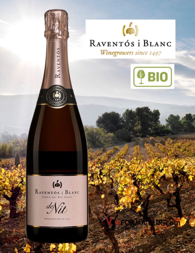 Bouteille de Raventos I Blanc, De Nit, Conca del Riu Anoia, Extra Brut, Espagne, vin mousseux Bio, 2018