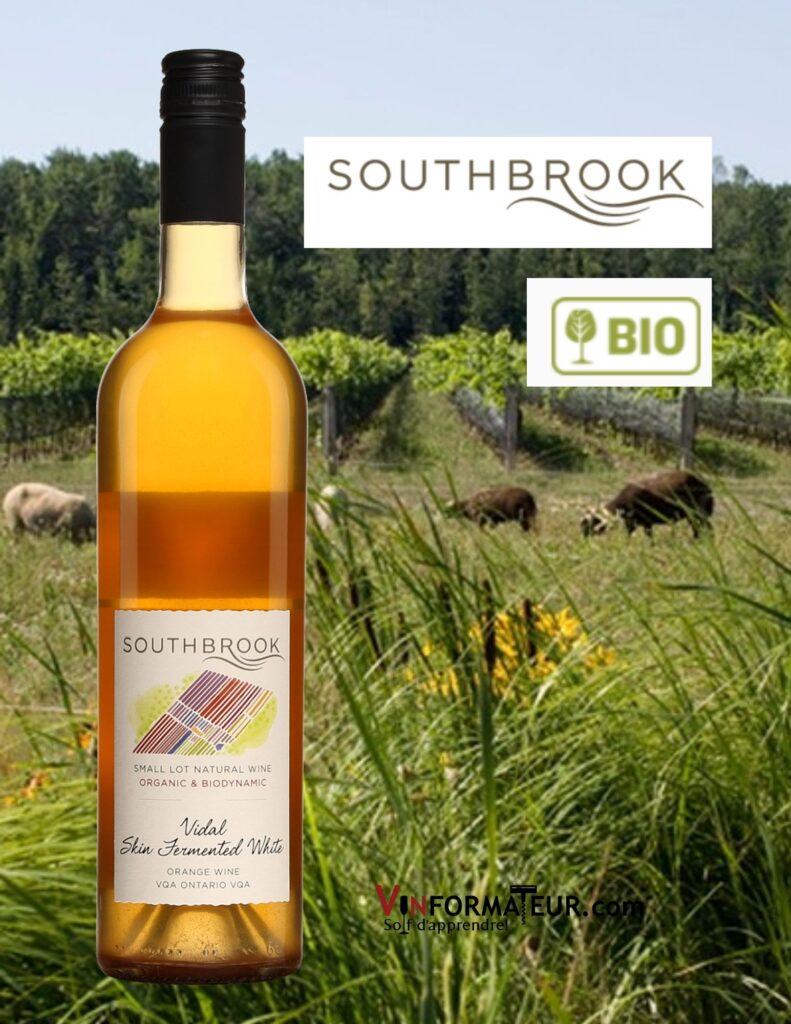 Bouteille de Southbrook, Vidal Estate Vin Orange, Canada, Ontario, Péninsule du Niagara, vin orange bio et nature, 2020