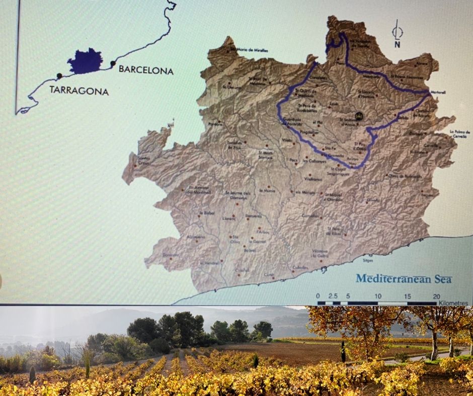 Carte viticole Raventos i Blanc Conca del Riu Anoia