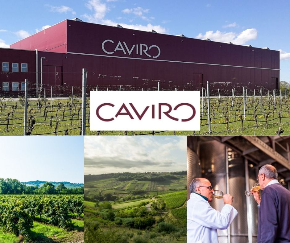 Groupe Caviro: chai et vignobles