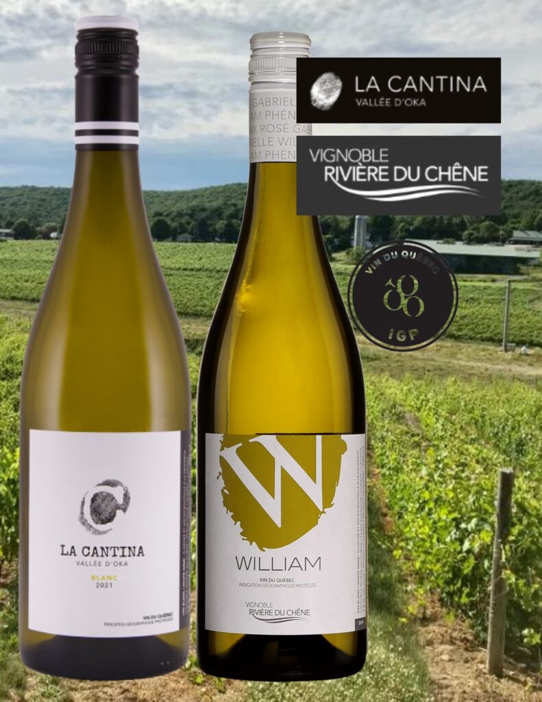 Bouteilles de La Cantina, Vallée d’Oka, IGP, Blanc, 2021, William, Vignoble Rivière du Chêne, vin blanc IGP, 2021