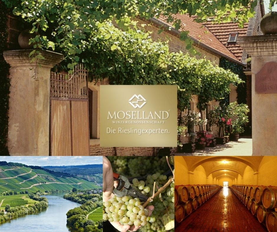 Moselland: chai et vignobles