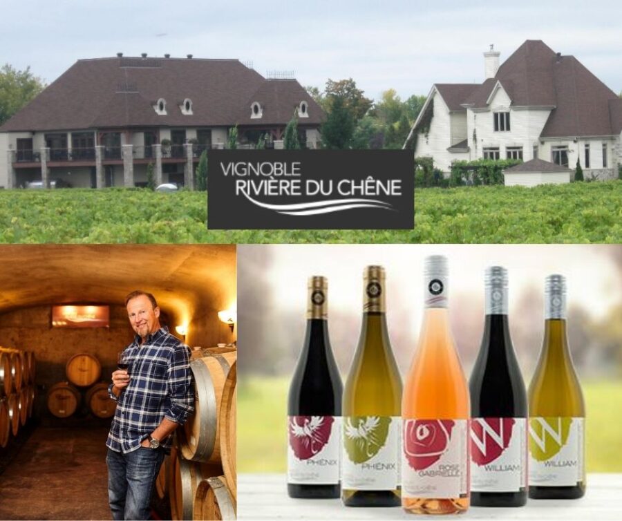 Vignoble Rivière du Chêne: Daniel Lalande, chai, vignobles et vins