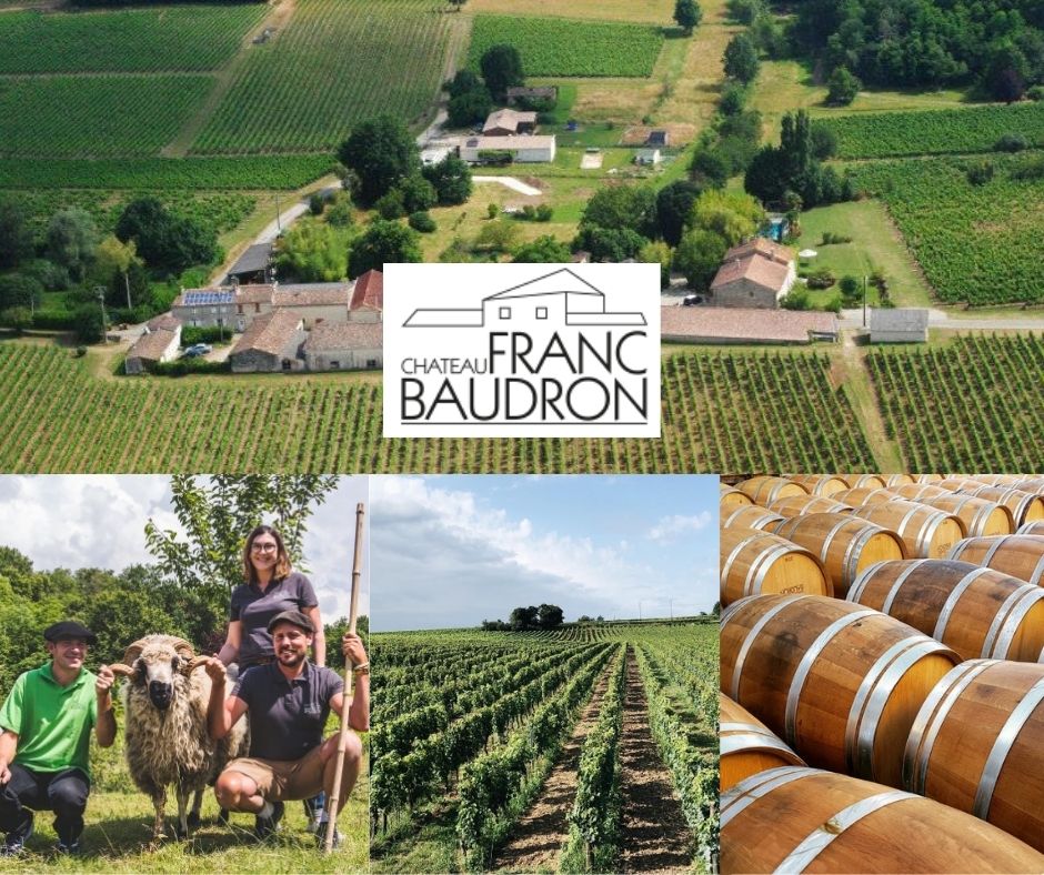 Château Franc Baudron - vignerons, chai et vignobles