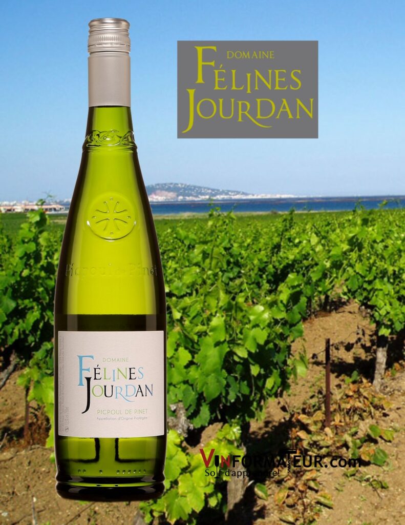 Bouteille de Félines Jourdan, PicPoul de Pinet, Cuvée Classique, Languedoc-Roussillon, AOP PicPoul de Pinet, 2020