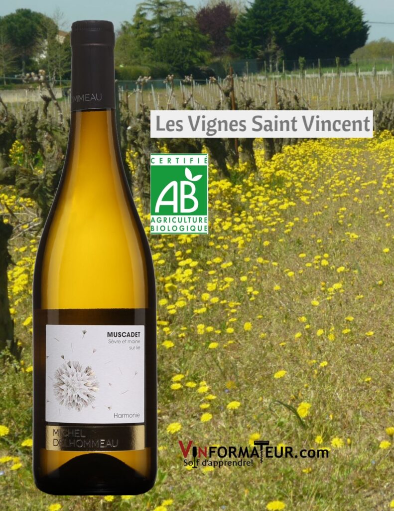 Bouteille de Harmonie, France, Muscadet Sèvre et Maine Sur Lie, vin blanc bio, Les Vignobles de Saint Vincent, 2020