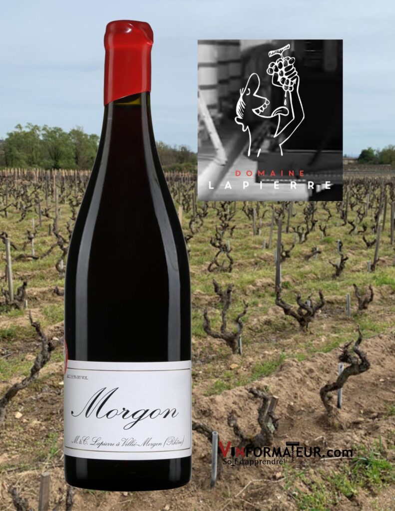 Bouteille de Domaine Marcel Lapierre, France, Beaujolais, Morgon, vin rouge nature, 2020