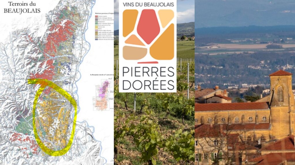 Terres Dorées: carte viticole, vignobles et village Pierres Dorées