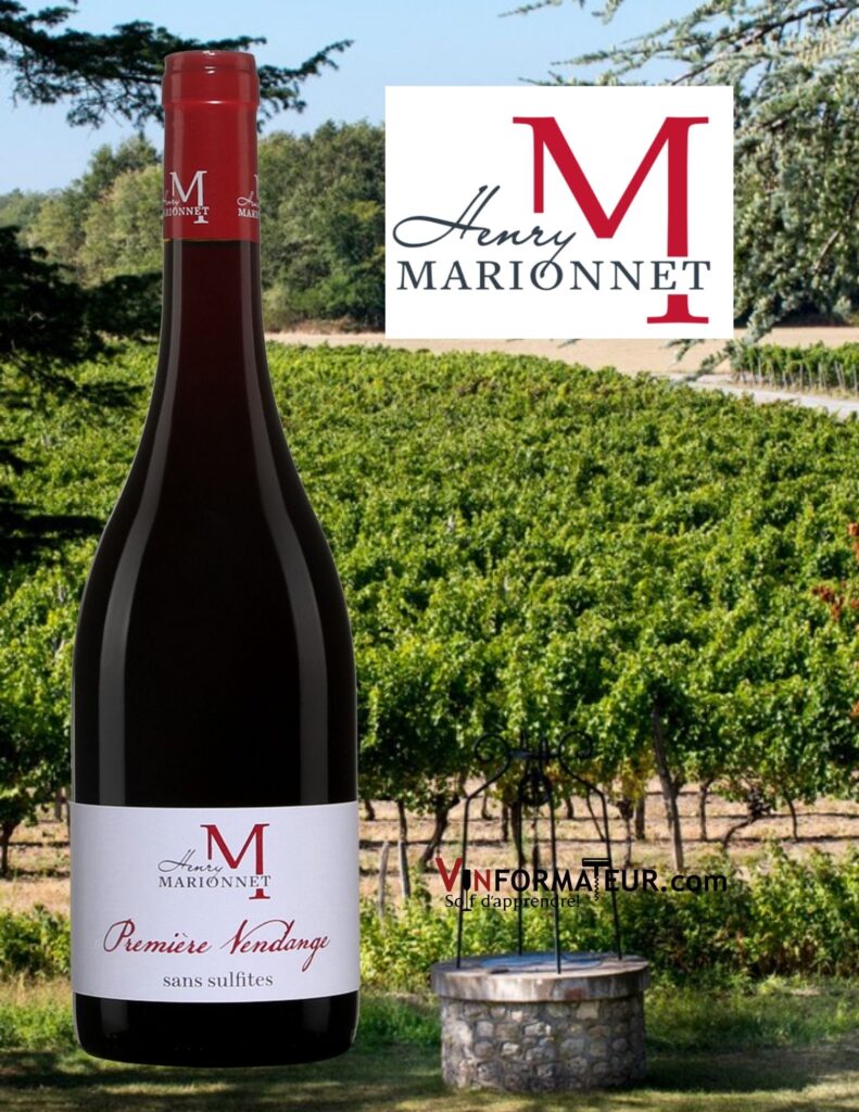 Bouteille de Henry Marionnet, M, Première Vendange, France, Val de Loire, Touraine AOC, vin rouge nature, 2020