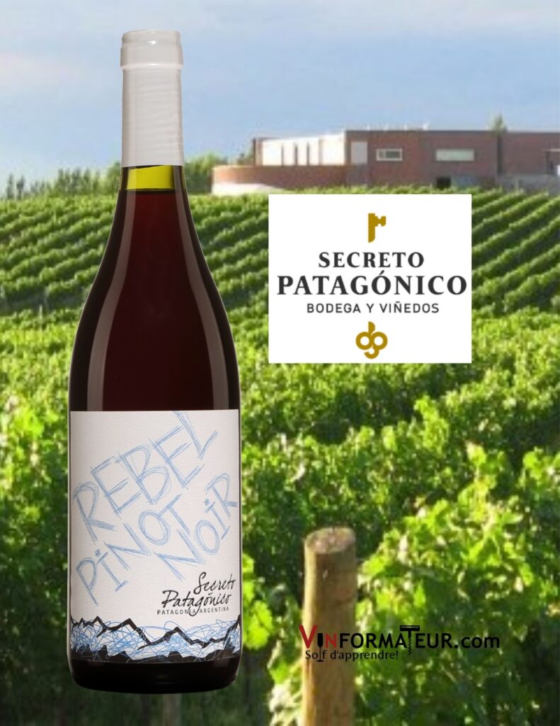 Bouteille de Rebel, Pinot Noir, Argentine, Patagonie, Bodega Secreto Patagonico, 2020