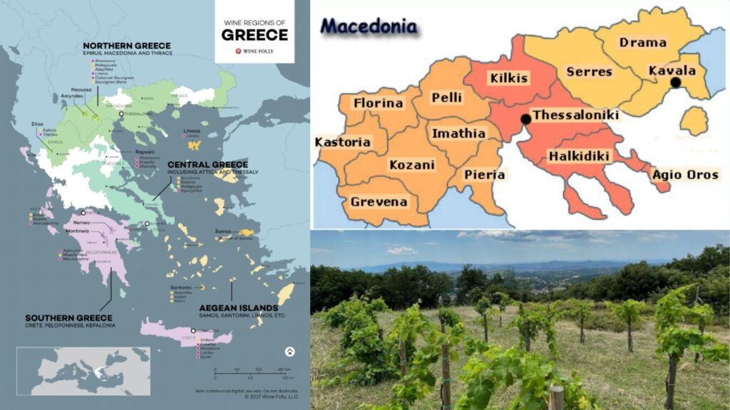Carte viticole de la Grèce et de la Macédoine: www.winefolly.com