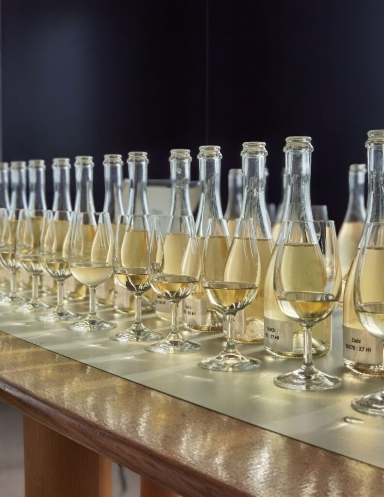 Dégustation de vins clairs - photo Champagne Bruno Paillard