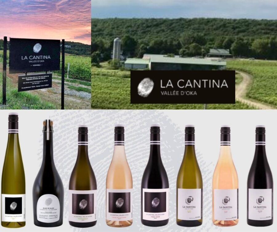 Vignoble La Cantina: vignobles et bouteilles