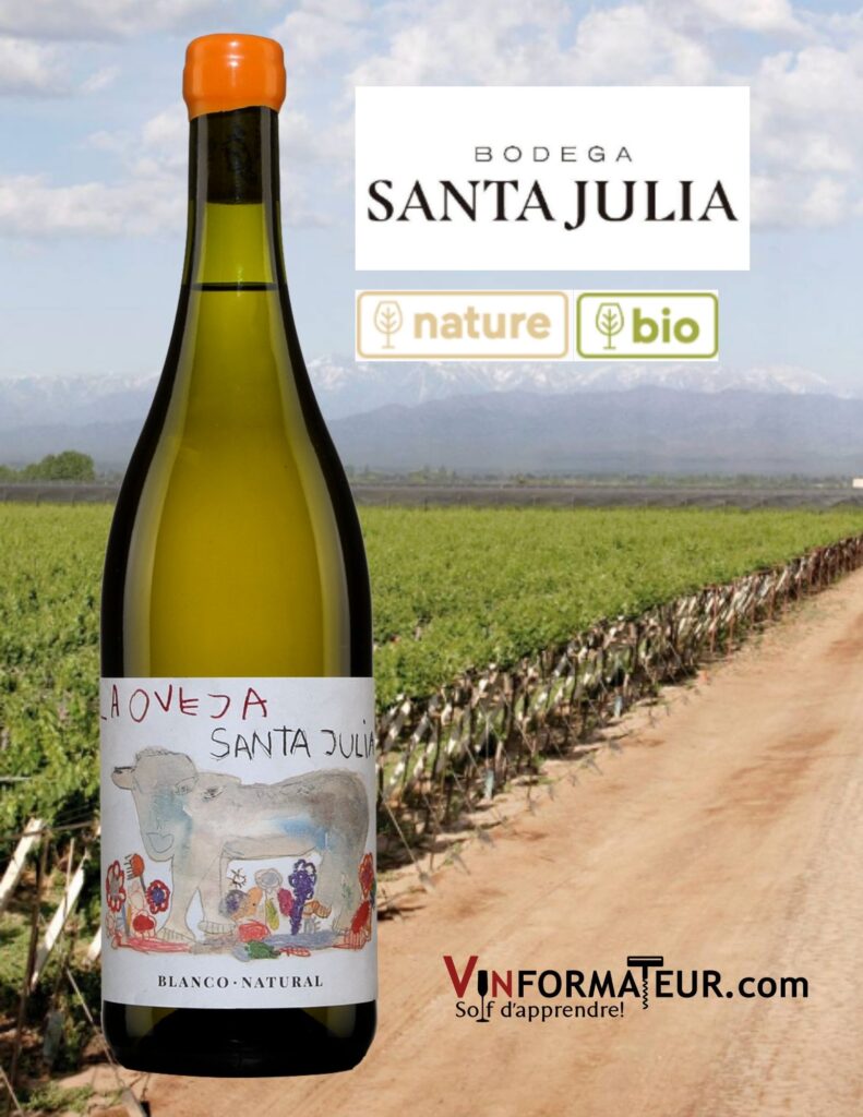 Bouteille de La Oveja, Argentine, Mendoza, Maipu, vin blanc nature/bio, 2021