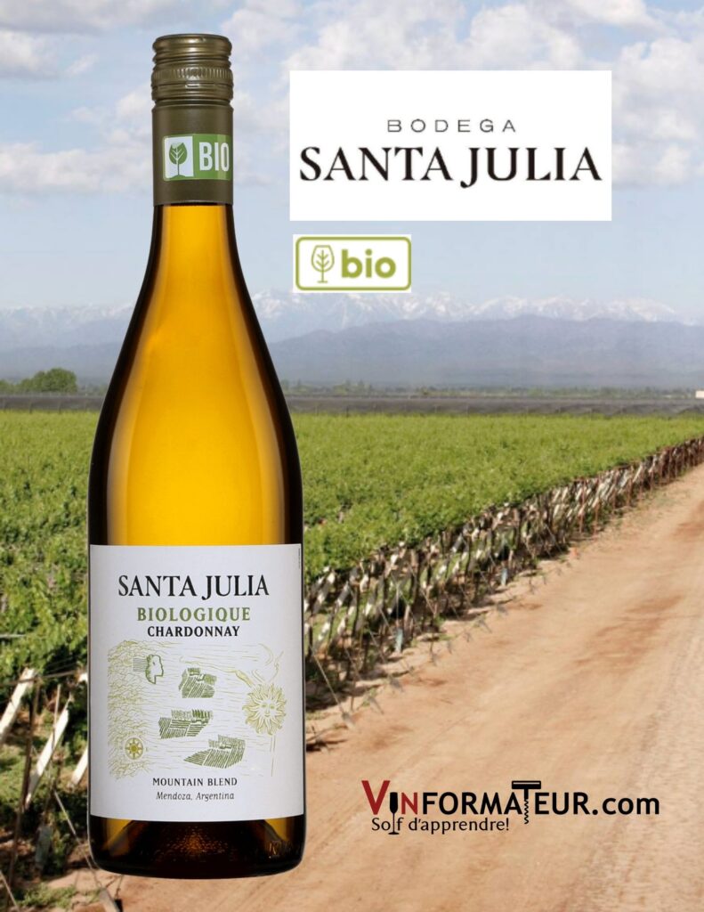 Bouteille de Santa Julia, Chardonnay, Mountain Blend, Argentine, Mendoza, Valle de Uco, vin blanc bio, 2021