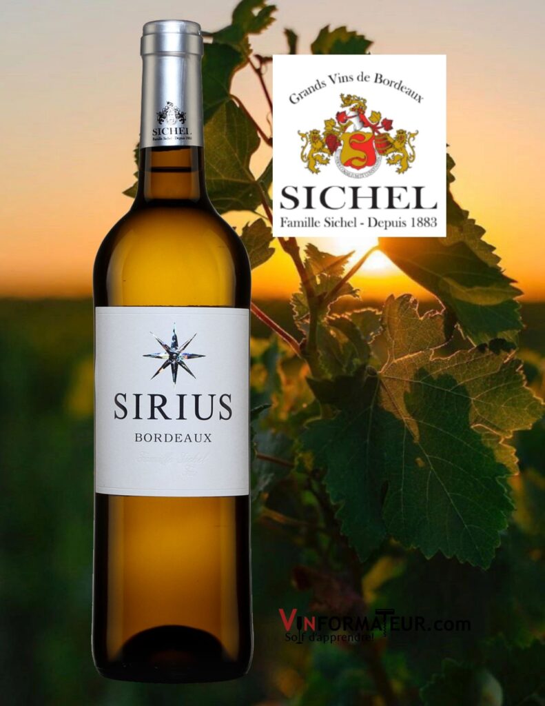 Bouteille de Sirius, Bordeaux, vin blanc Vegan, Maison Sichel, 2020