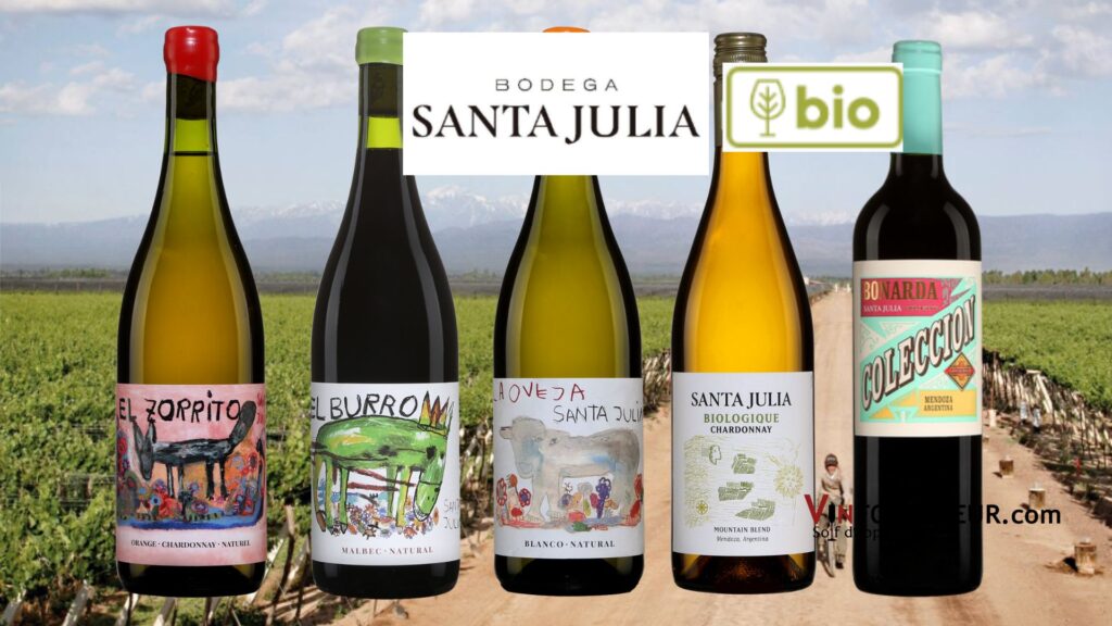 BOuteilles de Bodega Santa Julia: El Burro, Malbec, 2021, El Zorrito vin orange 2021, La Ojeva Torrontès 2021, Chardonnay Mountain Blend 2021, Coleccion Bonarda 2021