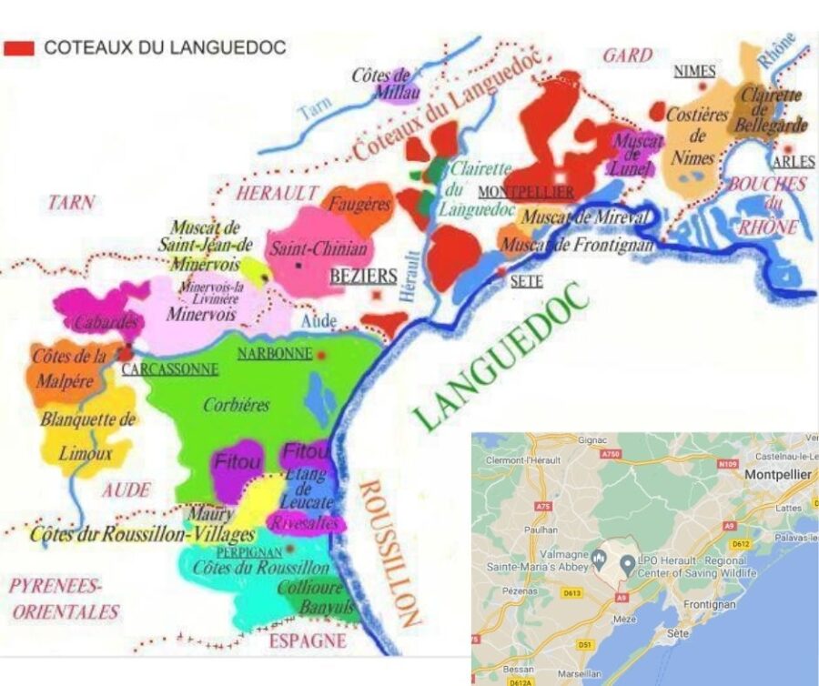 Carte viticole Languedoc
