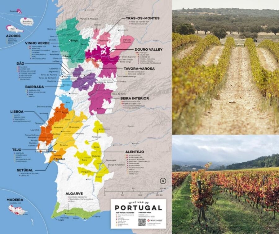Carte viticole Portugal