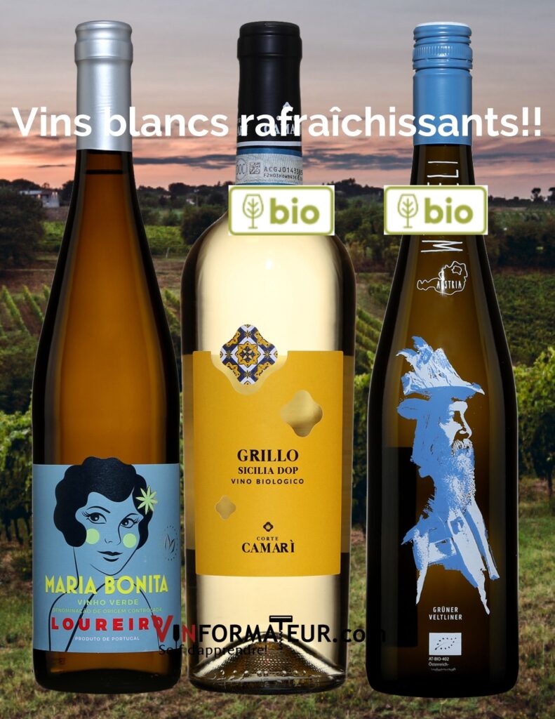 3 vins blancs: Maria Bonita Loureiro 2021, Grillo Corte Camari 2021, Gruner Veltliner Weingut Weszeli 2021.