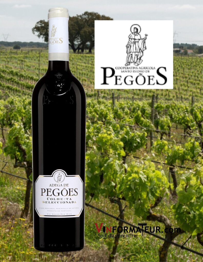 Bouteille de Adega de Pegões, Colheita Seleccionada, Portugal, Péninsule de Setubal, Palmela DO, vin rouge, 2016