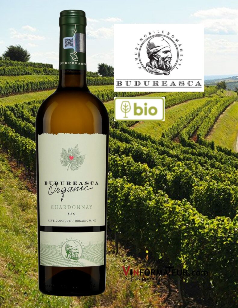 Bouteille de Budureasca, Organic, Chardonnay, Roumanie, Dealu Mare DOC, vin blanc bio, 2019