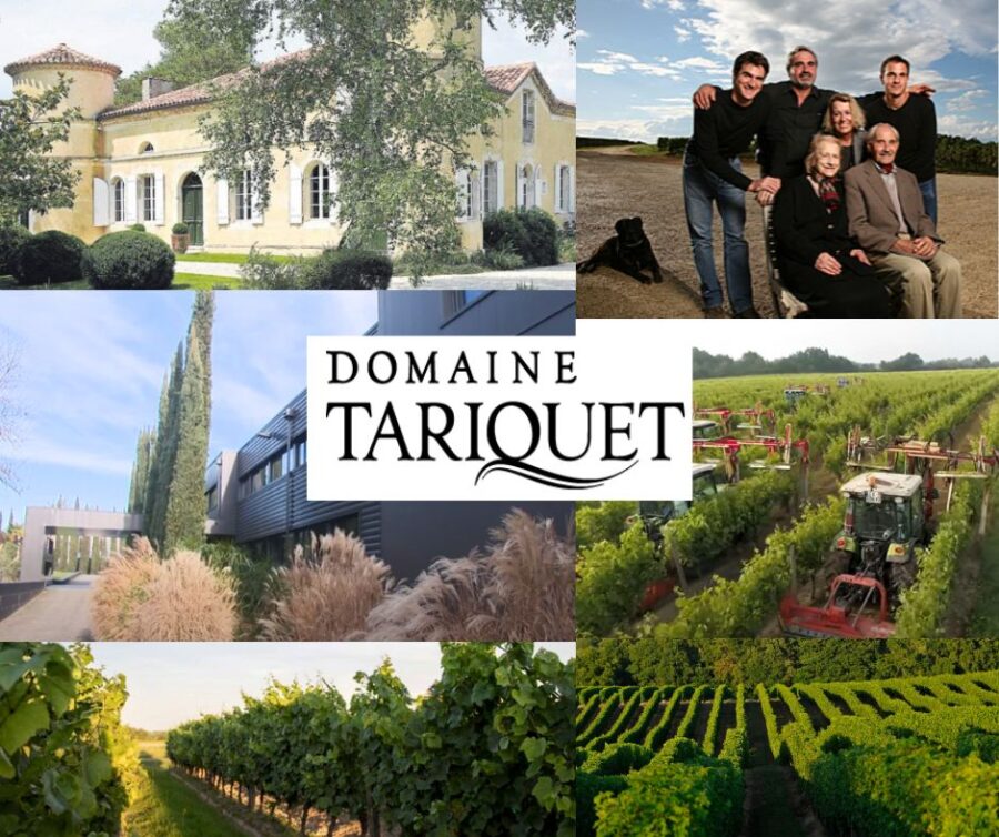 Domaine Tariquet: chai, vignobles et famille Grassa