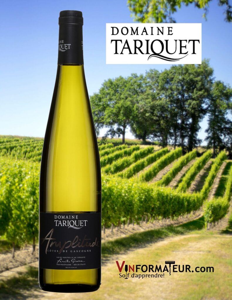Bouteille de Domaine Tariquet, Amplitude, France, Sud-Ouest, Côtes-de-Gascogne, vin blanc, 2020