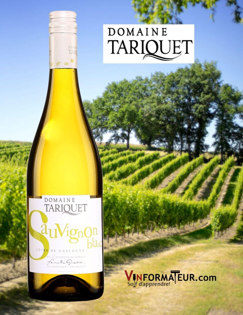 Bouteille de Domaine Tariquet, Sauvignon blanc, France, Sud-Ouest, Côtes-de-Gascogne, vin blanc, 2021