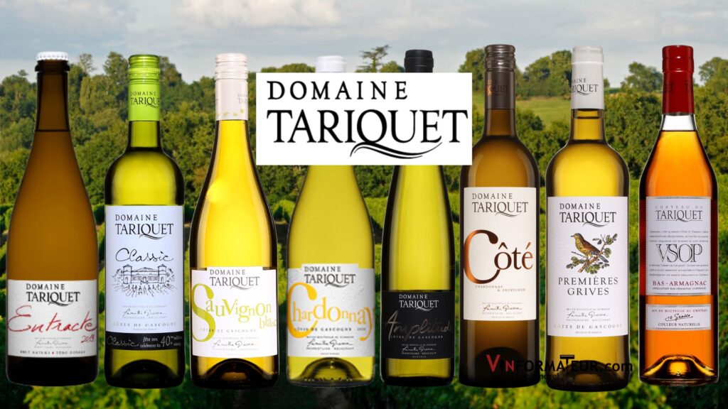 Domaine Tariquet: découvrez un Pet Nat, 6 vins blancs secs et un Bas-Armagnac VSOP. Des vins d'un rapport qualité/prix/plaisir exceptionnels!