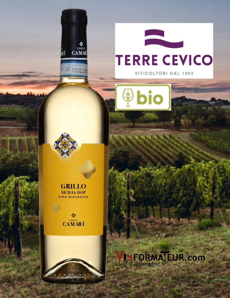 Bouteille de Grillo, Corte Camari, Italie, Sicile, vin blanc bio, 2021