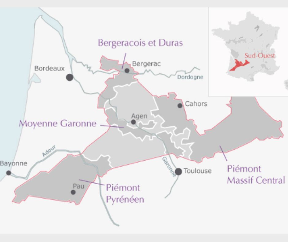 Carte viticole Côtes-de-Gascogne
