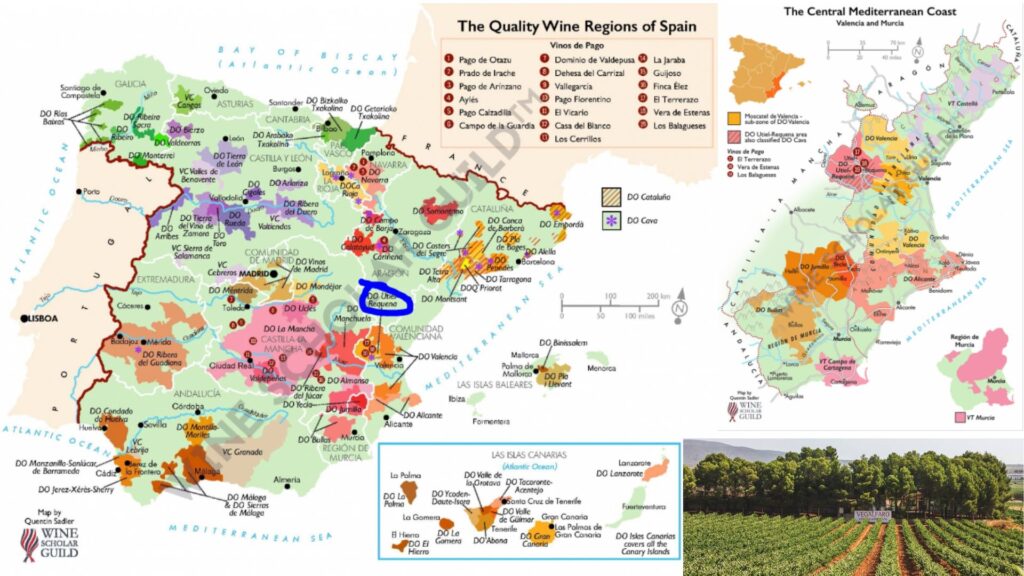 Carte viticole d'Espagne, de Murcia et Valencia
