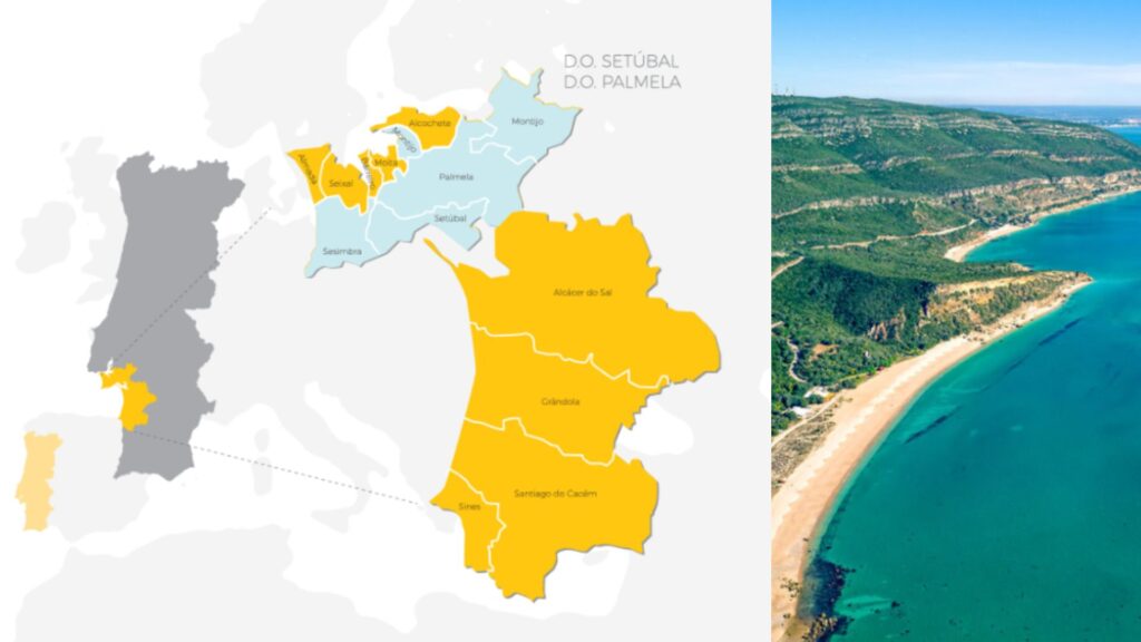 Carte viticole Portugal et Setubal
