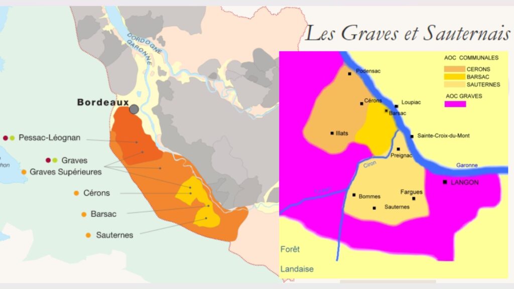 Cartes viticoles Graves et Sauternais